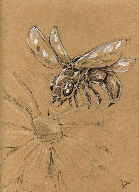 Book Creative, Natural Form Art, Bee Flower, Gcse Art Sketchbook, Bug Art, Nature Artwork, Insect Art, Natural Form, Gcse Art