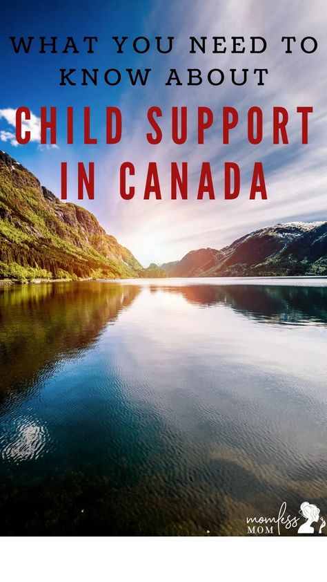 Abiding by a child support order is something that parents must try their best to do. Not only is it for the benefit of the children but it is an obligation that must be fulfilled. Failure to do so will put you outside of the law. Child Support Laws, Child Support, Mom Blog, Mom Blogs, Childcare, A Couple, Need To Know, Parenting