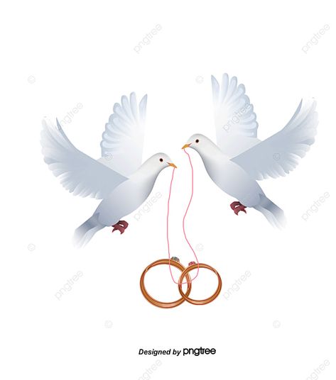 Engagement Announcement Pictures, Pigeon Png, Wedding Graphic Design, Bride Clipart, خواتم خطوبة, Wedding Ring Clipart, Wedding Doves, Birthday Logo, Wedding Graphics