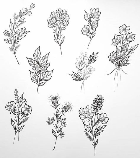 Botanical Sketching, Flower Of Life Tattoo, Traditional Tattoo Flowers, Modern Flowers, Flash Tattoo Designs, Flash Sheet, Tattoo Flash Sheet, Plant Tattoo, Botanical Tattoo