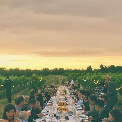 Amavi Cellars on Instagram: "The vineyards and the Walla Walla sunset did not disappoint at Saturday evening’s wedding. 👌 Best wishes and congratulations to Tristan and Marielle from Amavi Cellars! • • • • • #WallaWallaValley #WallaWalla #WAWine #Washington #Wine #WineTasting #WashingtonWine #TastingRoom #Winery #Estate #Sustainable #Vineyards #EstateGrown #WashingtonState #PNW #Wedding #WeddingSeason #WeddingintheVines #WeddingVenue #VineyardWedding #Reception #WeDoWeddings" Wedding Best Wishes, Pnw Wedding, Walla Walla, Tasting Room, Vineyard Wedding, Best Wishes, Washington State, Wine Tasting, Wedding Season