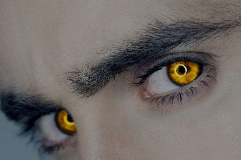 Werewolf Eyes Aesthetic, Wolf Eyes Aesthetic, Yellow Eyes Aesthetic, Werewolf Eyes, Nefertari Vivi, Werewolf Aesthetic, Wolf Eyes, Character Inspiration Male, Golden Eyes