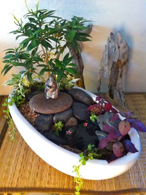 Miniature Gardening with TwoGreenThumbs.com Mini Zen Garden Design, Indoor Mini Garden, Mini Rock Garden, Miniature Garden Design, Diy Miniature Garden, Miniature Garden Decor, Small Buddha Statue, Miniature Zen Garden, Mini Zen Garden