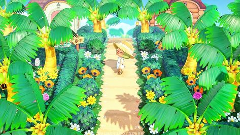 Acnh Walkways, Acnh Resort, Campsite Acnh, Acnh Tropical, Acnh Inspiration, Animals Crossing, Animal Crossing Wild World, Island Theme, Tropical Animals