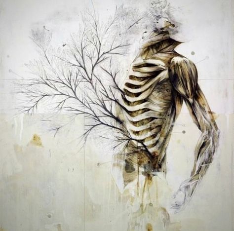 The Human body is a Immune System✨ Entwined Art, Nunzio Paci, Plant Anatomy, Metamorphosis Art, Decay Art, Alevel Art, Sketchbook Layout, Growth And Decay, Art Alevel