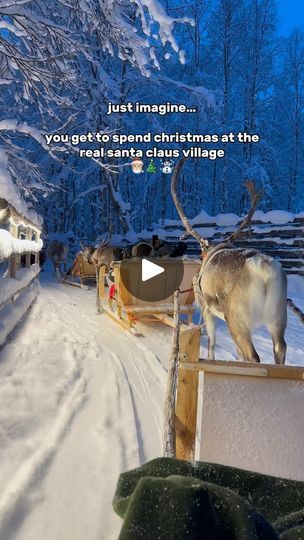 1.4M views · 225K reactions | christmas in the north pole doesn’t exi— ☃️

Tips, Itinerary, & Activities ⬇️🎄

1. Where to Fly?
✈️ Rovaniemi airport is the nearest. You can also fly to Helsinki then ride the 12 hour Santa Claus train to Rovaniemi city center

2. Activities
☃️ Santa Claus Village
☃️ Arctic Circle
☃️ Snowman world
☃️ Reindeer farm visit and sleigh ride 
☃️ Husky sledding
☃️ Aurora Hunt

3. Accomodation
🏨 Accoms and flight prices skyrocket during Christmas. We stayed in an airbnb (Cozy Villa Marjavita - search in bookingcom)
👉🏻 £1.4k/ night (£300 if off peak)
👉🏻 4 bedrooms with sauna, jacuzzi, and snow backyard

4. Transportation
🚕 Meneva Taksi - pretty convenient and widely used app for cab rides
🚌 Most activities have pick-up and drop off options
🚘 Rent a car - conv Husky Sledding, Reindeer Farm, Huskies Sled, Santa Claus Village, Farm Visit, Vacation Activities, The North Pole, Instagram Christmas, Europe Vacation