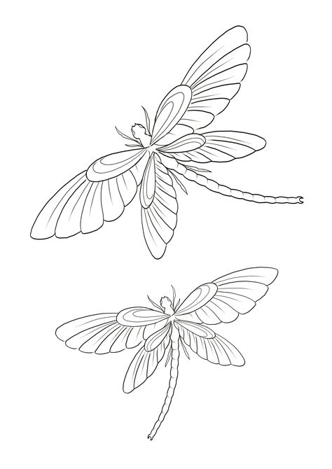 Drawing Of Dragonfly, Insect Tattoo Stencil, Dragon Fly Wings Drawing, Dragon Fly Outline, Dragonfly Tattoo Stencil, Dragon Fly Tattoo Designs, Dragonfly Outline, Dragonfly Sketch, Dragonfly Clipart