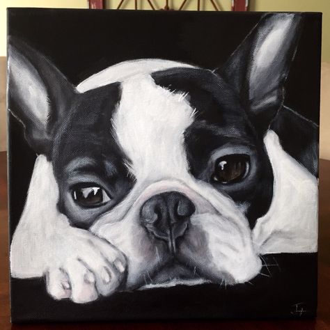 Boston Terrier Painting, Boston Terrier Art, Boston Terrier Lover, French Bulldog Art, Boston Terrier Love, Bulldog Art, Terrier Breeds, Boston Terrier Puppy, Boston Terrier Dog