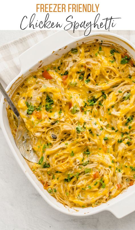 Chicken spaghetti is an easy, cheesy, make-it-again-soon-please, casserole that your whole family will love. We teach you how to make it fresh AND how to prep it to be a freezer meal. A great meal for groups of people too! #chickenspaghetti #chickencasserole #chickenfreezermeal #freezermeal Panini Recipes Chicken, Batch Meals, Chicken Freezer Meals, Inexpensive Dinners, Chicken Spaghetti Recipes, Cooking Frozen Chicken, Large Group Meals, Favorite Dinner, Spaghetti Recipe