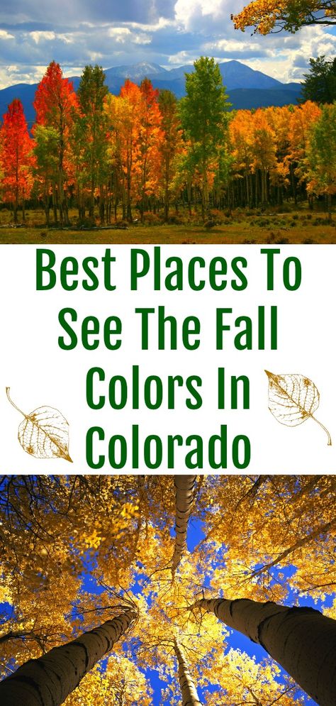 Autumn In Colorado, Denver In The Fall, Fall In Denver Colorado, Colorado Activities, Travel Colorado, Camping Colorado, Denver Travel, Colorado Travel Guide, Fall Vacation