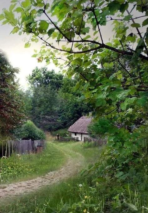 Forest Elf Aesthetic, Countryside House, Cabins And Cottages, Rural Life, Old Barns, Green Nature, Flower Art Painting, English Countryside, Country Life