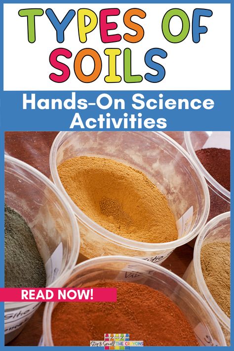 Kids are amazed to find out there are lots of different types of soil. Help them jump into the world of dirt, clay, silt and soil using these hands on science activities. This blog post is filled 5 creative activities you can use in your elementary science class. Perfect for homeschooling families too. From playing in the dirt to creating a class compost pail your students will be asking for more. Head over to the post and start adding these activities to your science lesson plans. Soil Experiments For Kids, Soil Stem Activities, Soil Activities For Preschool, Soil Activities For Kids, Hands On Science Activities, Types Of Soils, Environmental Science Activities, Soil Activities, Soil Science