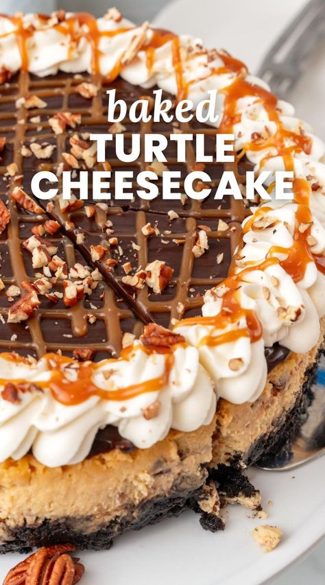 Turtle Cheesecake Recipe, Cheesecake With Cookie Crust, Chocolate Turtle Cheesecake Recipe, Turtle Cheesecake Recipe Easy, Caramel Brownie Cheesecake Recipe, Brownie Turtle Cheesecake, Carmel Turtle Brownie Cheesecake, Cheescake Recipe, Turtle Cheesecake Recipes