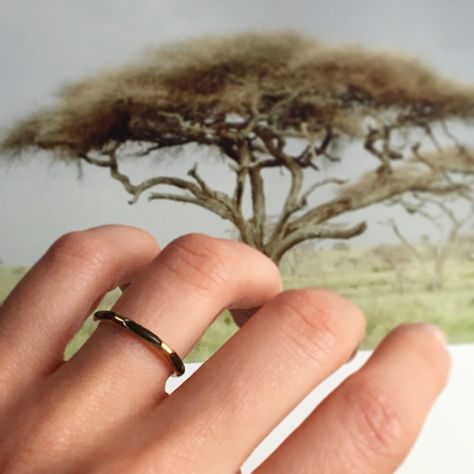 Elephant hair jewelry was popular amongst Victorians during the Raj-era. Souvenirs like this ring would have been brought home from faraway lands travelled to during “The Grand Tour”, where young English elites would travel around Europe and beyond to expand their horizons and learn about languages, geography, culture and the arts. This ring has one elephant hair in a 10k gold channel. In the shop now. Elephant Hair Ring Gold For Women, Elephant Hair Ring Gold Men, Elephant Hair Ring Gold, Elephant Hair Ring, Hair Jewelry Indian, Elephant Hair Jewelry, Elephant Ring Gold, Elephant Hair, Kids Gold Jewelry