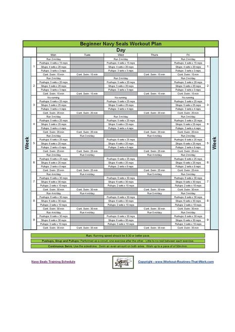 Navy Seal Workout Plan, Calisthenic Workout, Navy Seal Workout, Calisthenics Workout Program, Calisthenics Program, Navy Seal Training, Seal Training, Navy Workout, Military Workout