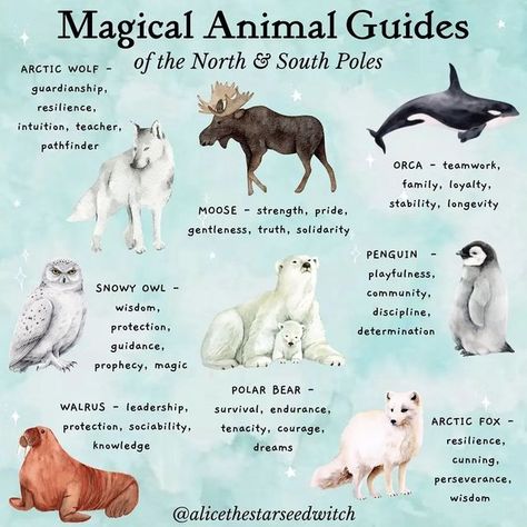 Animals And What They Symbolize, Spirit Animal List, Element Animals, Samhain Ideas, Female Mage, Fairy Animals, Animal Totem Spirit Guides, Witchcraft Quotes, Spirit Animal Meaning