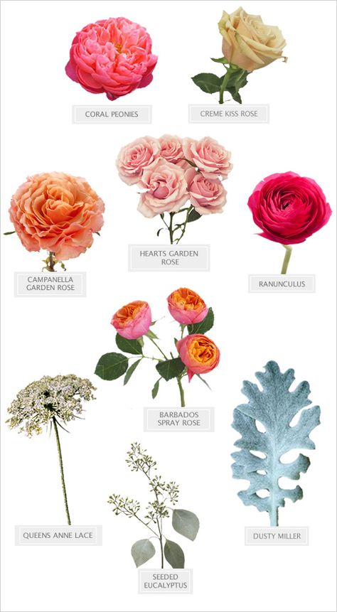 spring flowers recipe for the perfectly pink DIY bouquet #diy #bouquetrecipe #weddingchicks http://www.weddingchicks.com/2014/03/19/perfectly-pink-wedding-bouquet-recipe/ Bouquet Recipe, Spring Wedding Bouquets, Coral Peonies, Different Types Of Flowers, Wedding Bouquets Pink, Flower Guide, Summer Bouquet, Flower Names, Flower Food