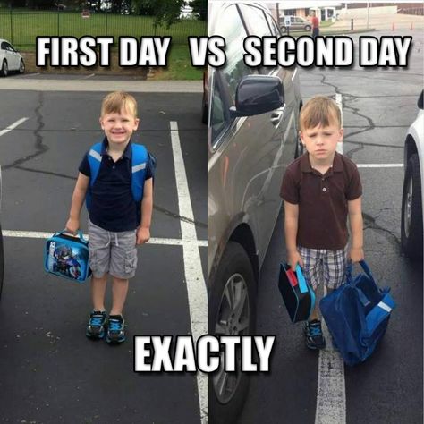 This can't be more true!  Looks just like this on days 1 & 2 of a new job too! Clean Humor, Memes Br, Have A Laugh, School Photos, E Card, School Lunch, Laughing So Hard, Tumblr Funny, Bones Funny