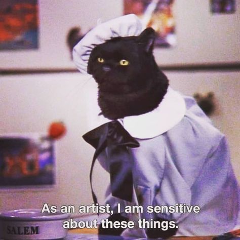 Instagram post by Cosmique Art • Aug 17, 2019 at 9:12pm UTC Salem Saberhagen, Cassandra Calin, Salem Cat, Hard Rock Hotel, 귀여운 동물, Movie Quotes, Reaction Pictures, Mood Pics, Cat Memes