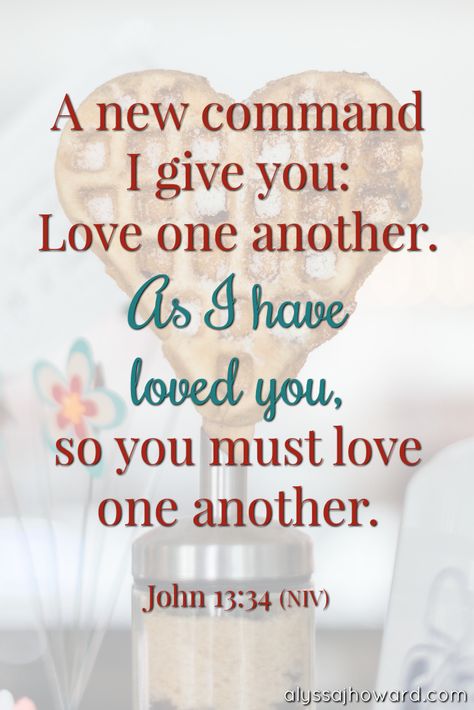 A new command I give you: Love one another. As I have loved you, so you must love one another. - John 13:34 (NIV) Love One Another Quotes, Bible Board, Bible Quotes About Love, Biblical Scriptures, More Than A Feeling, John 13 34, Christian Sayings, La Outfits, Sweet Lord