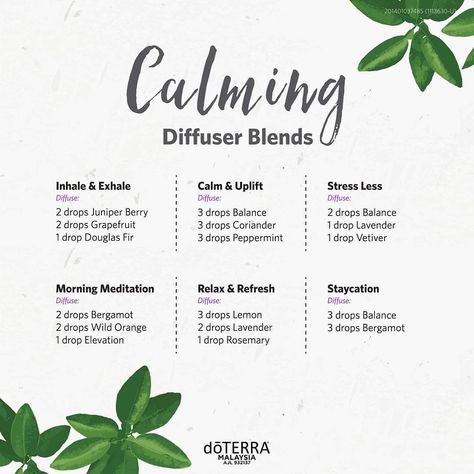 Calming Diffuser Blend Doterra, Calming Doterra Diffuser Blends, Relaxing Diffuser Blend Doterra, Doterra Calming Diffuser Blend, Calming Diffuser Blends, Calming Diffuser Blend, Nerve Repair, Diy Perfumes, Essential Oil Chart