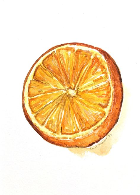 This is a **one-of-a-kind, hand-rendered, hand-painted, original watercolor painting** of a fresh orange slice, as painted from life/observation. This is NOT a print, it was NOT created digitally, it is NOT AI-generated! It was 100% hand-drawn and hand-painted by me! Title:  ORANGE SLICE 22 (Original handpainted orange slice watercolor by Erica Harney, orange slice painting, painting of orange, fruit watercolor, kitchen art) Give yourself or your loved one the gift of something truly original, u Orange Slice Painting, Unique Kitchen Art, Watercolor Kitchen Art, Watercolor Kitchen, Fruit Watercolor, Orange Slice, Master Of Fine Arts, Watercolor Fruit, Orange Decor