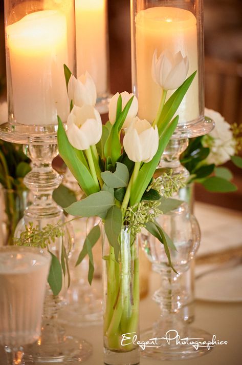 Tulip Decorations Table, White Tulips Centerpiece Wedding, Tulips In Bud Vases, Tulip Table Arrangements, Tulip Wedding Theme Table Settings, Wedding Centerpieces Tulips, White Tulips Wedding Decoration, Tulip Baby Shower Theme, Tulip Centerpiece Simple