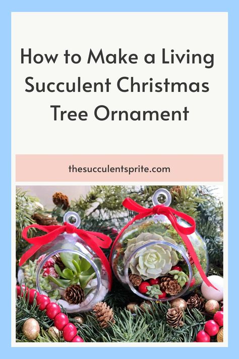 Get into the festive spirit by creating unique terrarium ornaments that beautifully blend Christmas and succulents. Discover how to bring this fun idea to life with our step-by-step guide. Let your tree shine with these charming decorations! Terrarium Ornaments, Succulent Christmas Tree, Succulent Christmas, Container Garden Design, Old World Christmas Ornaments, Christmas Plants, Traditional Ornaments, Garden Christmas, Christmas Garden