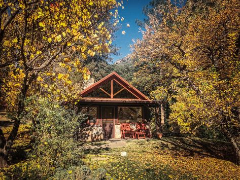 Orchard Canyon on Oak Creek In Arizona is surrounded by fall foliage, offering a cozy cabin getaway rife with enchantment. Oak Creek Canyon Arizona, Fall Weekend Trip, Verde Canyon Railroad, Fall Weekend Getaway, Oak Creek Canyon, Fall Getaways, Leaf Peeping, Getaway Cabins, Fall Hiking