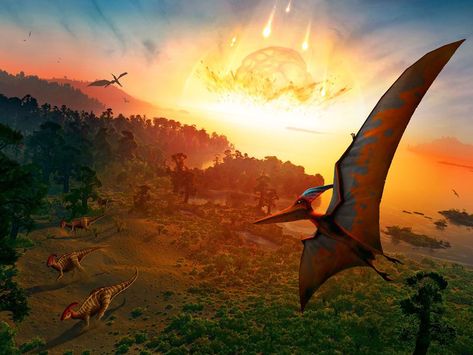 Dinosaurs Extinction, All Dinosaurs, Dinosaur Pictures, Science Photos, Dinosaur Art, Prehistoric Creatures, Prehistoric Animals, Wipe Out, Animal Planet