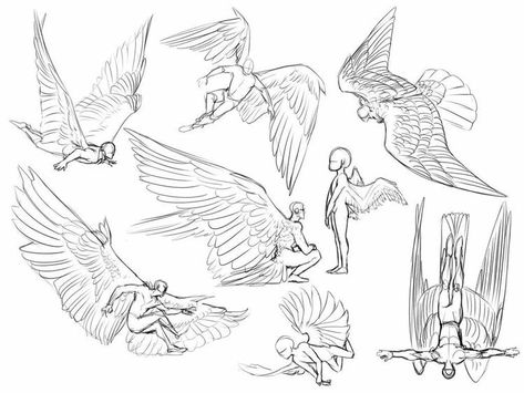 Winged People Drawing Reference, Winged People, Wings Drawing, Creative Drawing Prompts, Wings Art, Art Tools Drawing, Concept Art Drawing, Figure Drawing Reference, Art Prompts