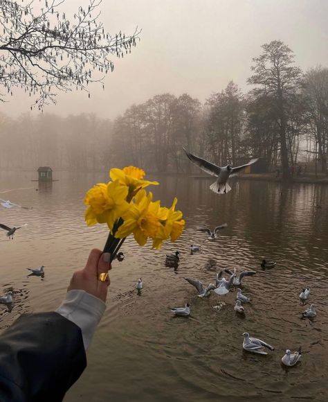 Foggy Weather, Morning Vibes, Flower Therapy, Spring Aesthetic, Aesthetic Photo, Fall Vibes, Dark Academia, Dark Aesthetic, Pretty Pictures