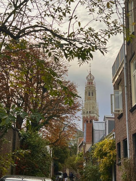 #netherlands#thenetherlands#travel#haarlem#church#aesthetic Haarlem Netherlands, Church Aesthetic, Ferry Building San Francisco, The Netherlands, Netherlands, Travel Photography, Lifestyle, Building, Photography