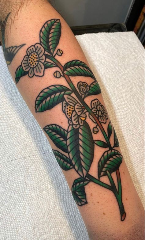 Tea Plant Tattoo, Green Traditional Tattoo, Plant Tattoo Traditional, Traditional Tattoo Leaves, Traditional Plant Tattoo, Traditional Tattoo Arm, Green Tattoo, Tea Tattoo, Tattoo Plant