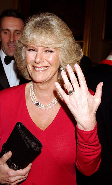 Camila Parker, Charles And Camilla, 10 February, Camilla Duchess Of Cornwall, Queen Consort, Prince Charles And Camilla, Queen Camilla, Camilla Parker Bowles, Charles And Diana