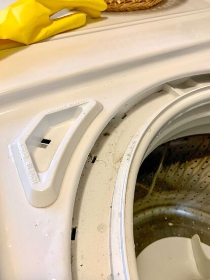 Learn how to give your top-load washing machine a deep clean with our easy step-by-step guide. Banish bad smells and keep your laundry fresh by following these simple tips for a like-new machine! How To Deep Clean Washing Machine Top Loader, Toploader Washing Machine Laundry Room, Cleaning A Top Loader Washing Machine, Deep Clean Washing Machine Top Loader, Cleaning Washing Machine Top Loader, Clean Washing Machine Top Loader, Smelly Washing Machines, Washing Machine Smell, Speed Queen Washer