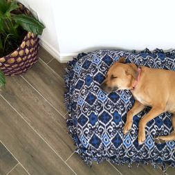 Easy, inexpensive no-sew dog bed cover || joyfullydwell Diy Dog Bed No Sew, Dog Bed Covers Diy How To Make, Diy Pet Blankets No Sew Fleece, No Sew Dog Bed Cover, Sew Dog Bed Cover, Dog Cover, Washable Dog Bed, Covered Dog Bed, Pretty Dogs