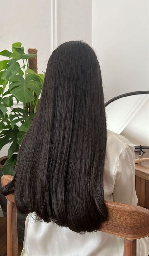 Long Silky Straight Hair, Long Black Thick Hair, Silky Hair Aesthetic, Shiny Hair Aesthetic, Thick Hair Aesthetic, Long One Length Hair, Long Thick Straight Hair, Long Thick Healthy Hair, Thick Straight Hair