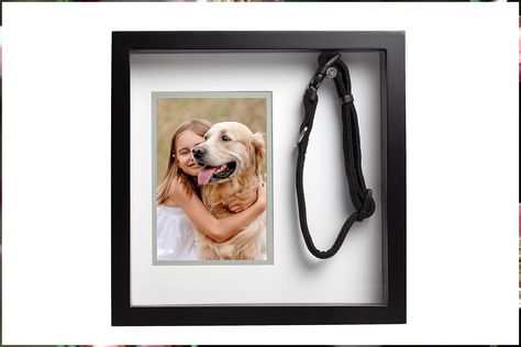 Pearhead Pet Collar Keepsake Frame, Dog Picture and Collar Memorial Frame, Pet Owner Home D cor Accessory Pet Memorial Picture Frame, Pet Memorial Frames, Shadow Box Wall, Dog Picture, Dark Wood Stain, Box Wall, Cats Pet, Remembrance Gifts, Metal Hangers