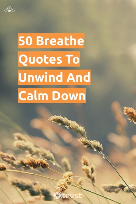 Feel overwhelmed? 😧 Slow down and take a deep breath. These tranquil quotes give you permission to inhale positivity and exhale stress. 👌 Less worry, more peace! 🕊 Click through for your dose of calm. #BreatheQuotes #Positivity #StressRelief #PeaceOfMind #Serenity Calm Down Quotes Funny, Relax Breathe Quotes, Keep Your Peace Quote, No Stressing Quotes, Tranquil Quotes, Quotes To Calm You Down, Breathe Quotes Inspiration, Pause Quotes, Worry About Yourself Quotes