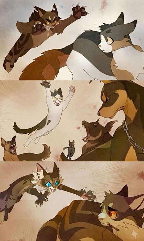 Redtail Warrior Cats, Hawkfrost Warrior Cats, Warrior Cats Clans, Cat Jumping, Warrior Cats Funny, Warrior Cat Memes, Warrior Cats Comics, Warrior Cats Books, Therapy Cat