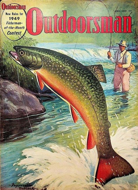 Outdoor Life Magazine, Old Town Canoe, Hunting Signs, Fly Fishing Art, Adventure Branding, Hunting Art, Fish Home, Tin Wall Art, Bar Vintage