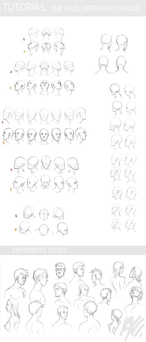 artist-refs:  TUTO - face and perspective by the-evil-legacy Face Perspective Reference, Anime Heads, Art Fundamentals, How To Draw Anime, 얼굴 그리기, Drawing Heads, Drawing Faces, Draw Anime, Anatomy Study