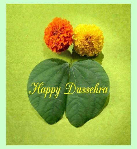 A time for celebration. A time for victory of good over bad. A time when world see the example of power of good. Let us continue the same ‘True’ spirit. Blessing of Dussehra. #blessings Happy Dassera Quote, Dassera Festival Quotes, Happy Dassera Post, Dasera Celebration Status, Happy Dashera Images, Dashahara Wishes, Happy Daseraha, Happy Dashera, Happy Dasara