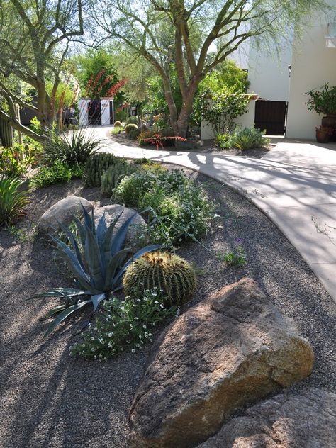 Desert Landscaping Backyard, Low Water Landscaping, Succulent Landscape Design, Drought Tolerant Garden, Small Front Yard Landscaping, Drought Tolerant Landscape, Succulent Landscaping, Small Front Yard, Lush Lawn