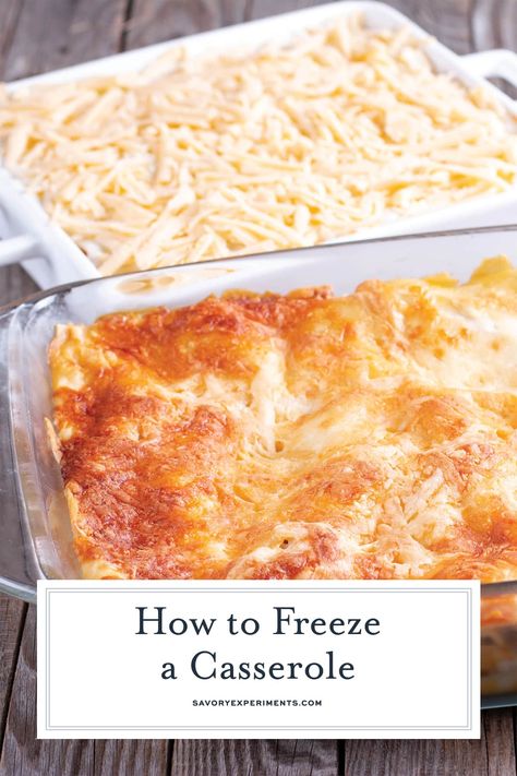 Learn how to freeze a casserole for best results and also what ingredients and casseroles you should avoid. #casseroles #freezerfriendlycasseroles www.savoryexperiments.com Easy Side Salad, Oven Casserole Recipes, Casserole To Freeze, Leftover Casserole, Freezing Leftovers, Baked Casserole, Tv Dinner, Food Group, Frozen Meals