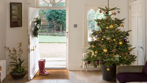 When the holidays are over, take down the tinsel, but don’t bag the tree. Here are 10 ways to dispose or recycle your Christmas tree. Nordmann Fir Christmas Tree, Old Window Screens, Charcoal Uses, Canvas Drop Cloths, Fir Christmas Tree, Uses For Coffee Grounds, Overwintering, How To Make Coasters, This Old House