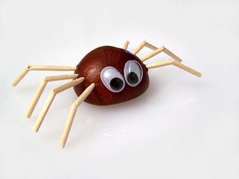 Conkers Craft, Dekorasi Halloween, Spider Crafts, Fun Fall Crafts, Halloween Crafts Decorations, Fun Halloween Decor, Cool Art Projects, Autumn Crafts, Nature Crafts