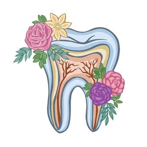 Colored oral flora, tooth, vector Dentistry Quotes, Tooth Vector, Dental Wall Art, Dental Wallpaper, Teeth Illustration, Dentist Art, Dentist Office Design, Teeth Drawing, Selling Clothes Online