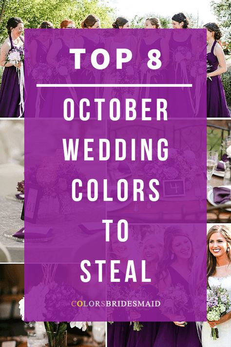 Mysterious Purple and Grey Fall Wedding Color Inspirations - ColorsBridesmaid Purple Grey And White Wedding, October Wedding Color Pallets, Fall Wedding Colors Purple Green, Purple Orange Grey Wedding, October Color Palette Wedding, October Wedding Colors 2024, October Wedding Colours, Purple October Wedding, Lilac Fall Wedding